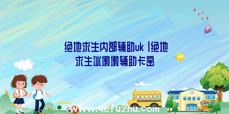 「绝地求生内部辅助uk」|绝地求生冰墩墩辅助卡密